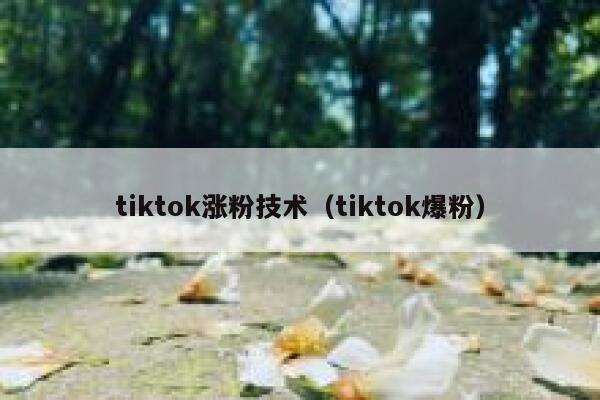 tiktok涨粉技术（tiktok爆粉）