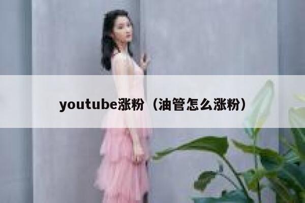 youtube涨粉（油管怎么涨粉）