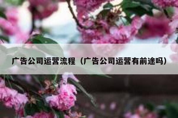 广告公司运营流程（广告公司运营有前途吗）