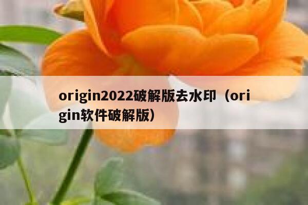 origin2022破解版去水印（origin软件破解版）