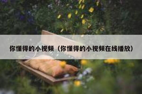 你懂得的小视频（你懂得的小视频在线播放）