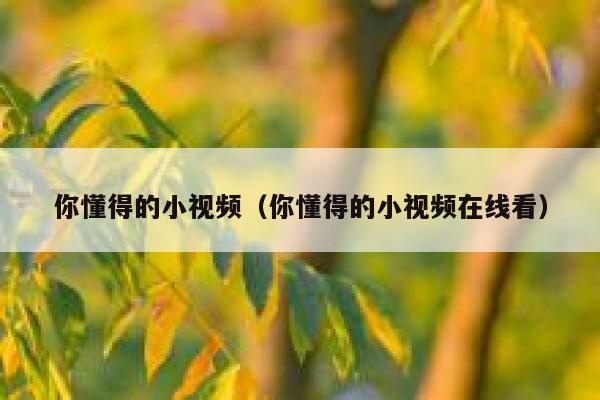 你懂得的小视频（你懂得的小视频在线看）