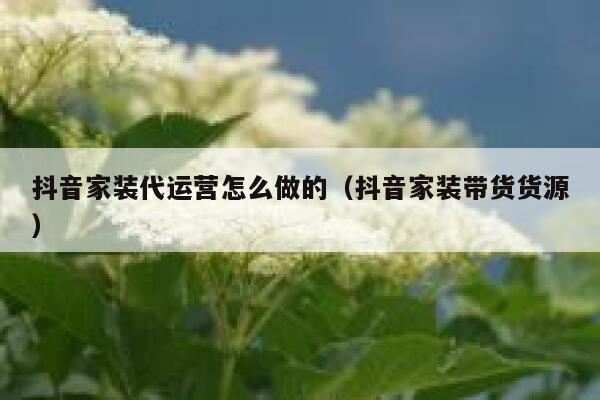 抖音家装代运营怎么做的（抖音家装带货货源）