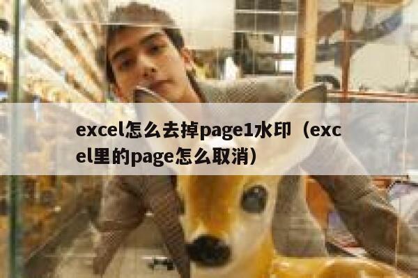 excel怎么去掉page1水印（excel里的page怎么取消）