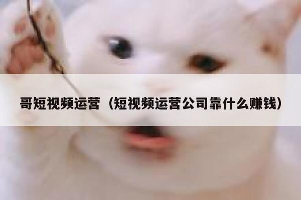 哥短视频运营（短视频运营公司靠什么赚钱）