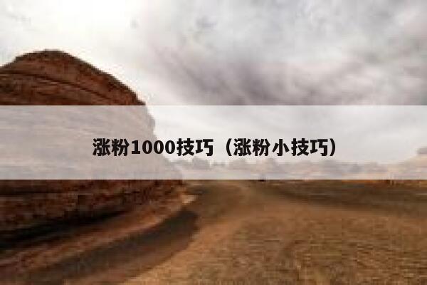 涨粉1000技巧（涨粉小技巧）