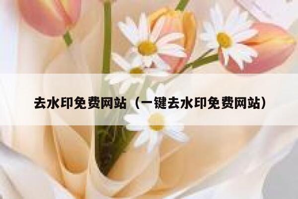 去水印免费网站（一键去水印免费网站）