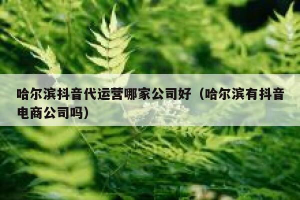 哈尔滨抖音代运营哪家公司好（哈尔滨有抖音电商公司吗）