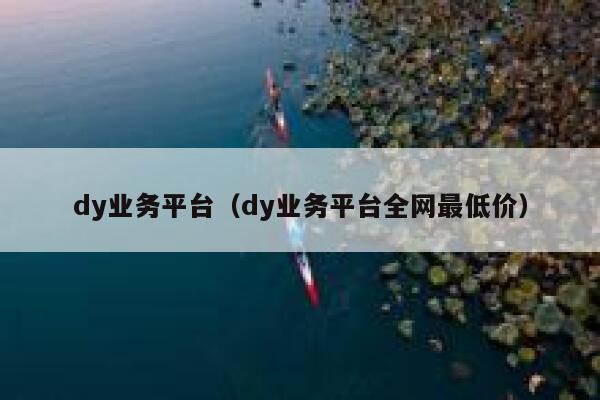 dy业务平台（dy业务平台全网最低价）