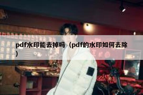 pdf水印能去掉吗（pdf的水印如何去除）