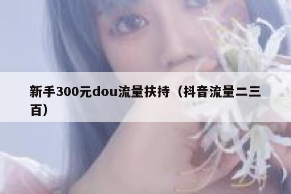 新手300元dou流量扶持（抖音流量二三百）