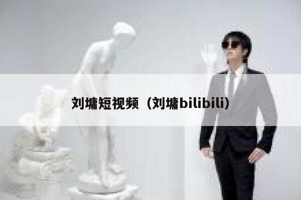 刘墉短视频（刘墉bilibili）