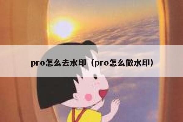 pro怎么去水印（pro怎么做水印）